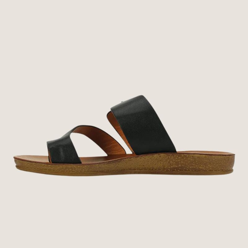 Los Cabos Dotsie Slide