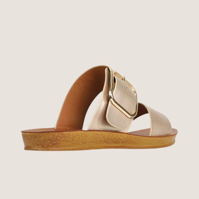 Los Cabos Doti Slide