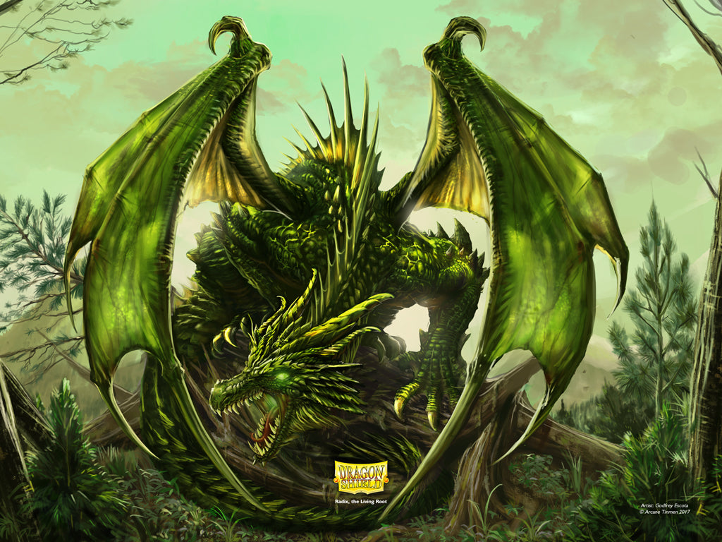 Dragon Shield - 9 Pocket Slipcase Binder: Dragon Art - Green