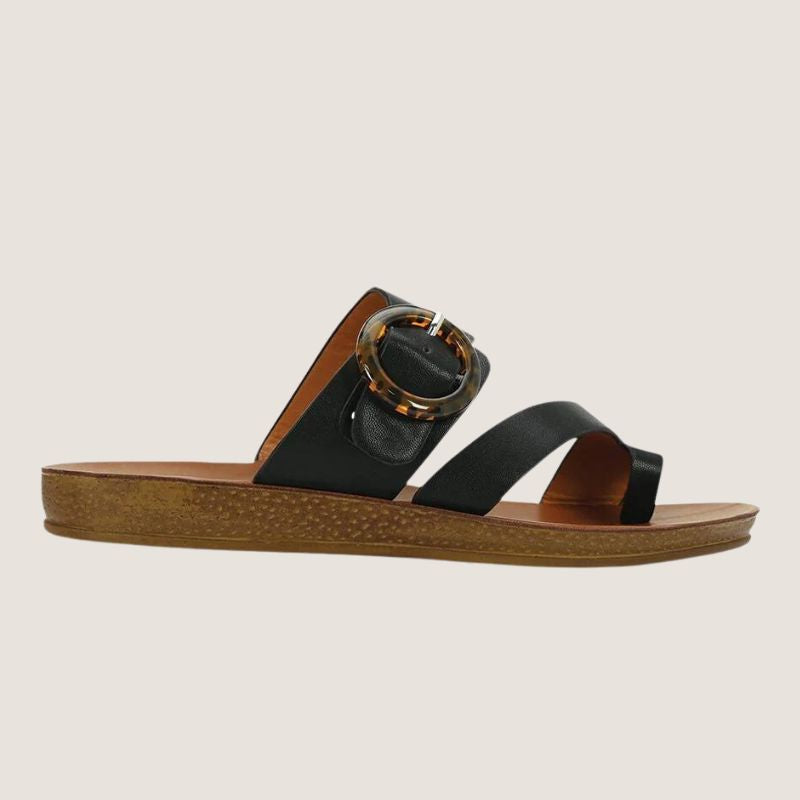 Los Cabos Dotsie Slide