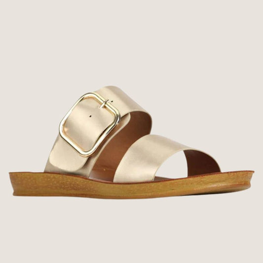 Los Cabos Doti Slide