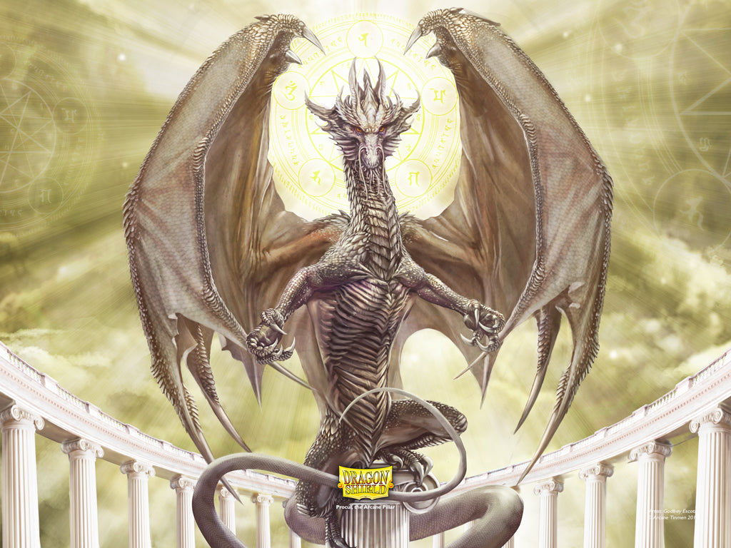 Dragon Shield - 9 Pocket Slipcase Binder: Dragon Art - White